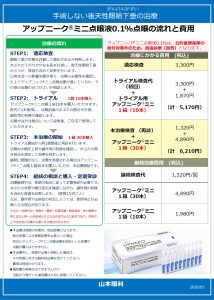 眼瞼下垂の治療の流れと費用